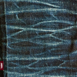 竹内里沙和狗的梗
