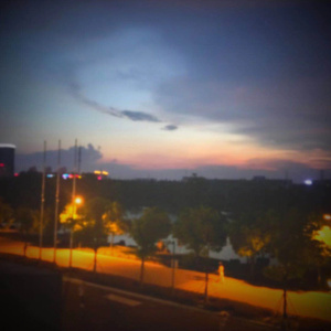 竹内里沙和狗的梗
