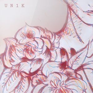 竹内里沙和狗的梗
